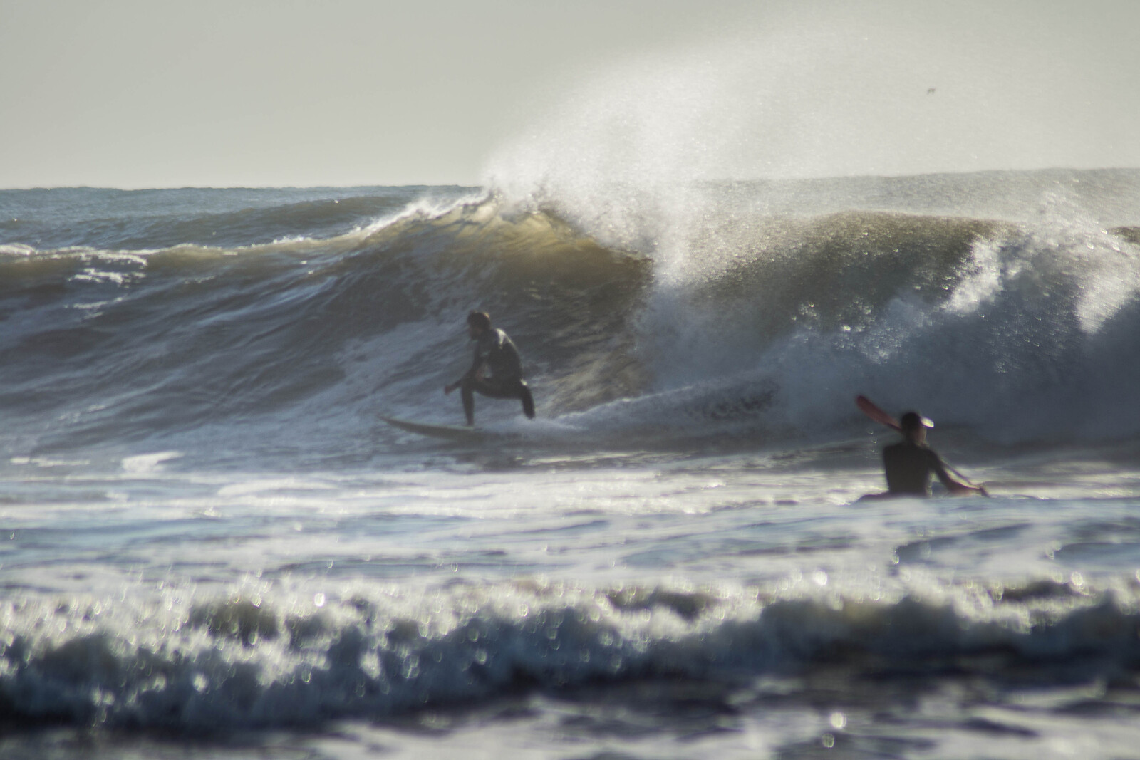 Cardiel (Mar del Plata)