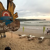 Sunset Surf School, Dewata