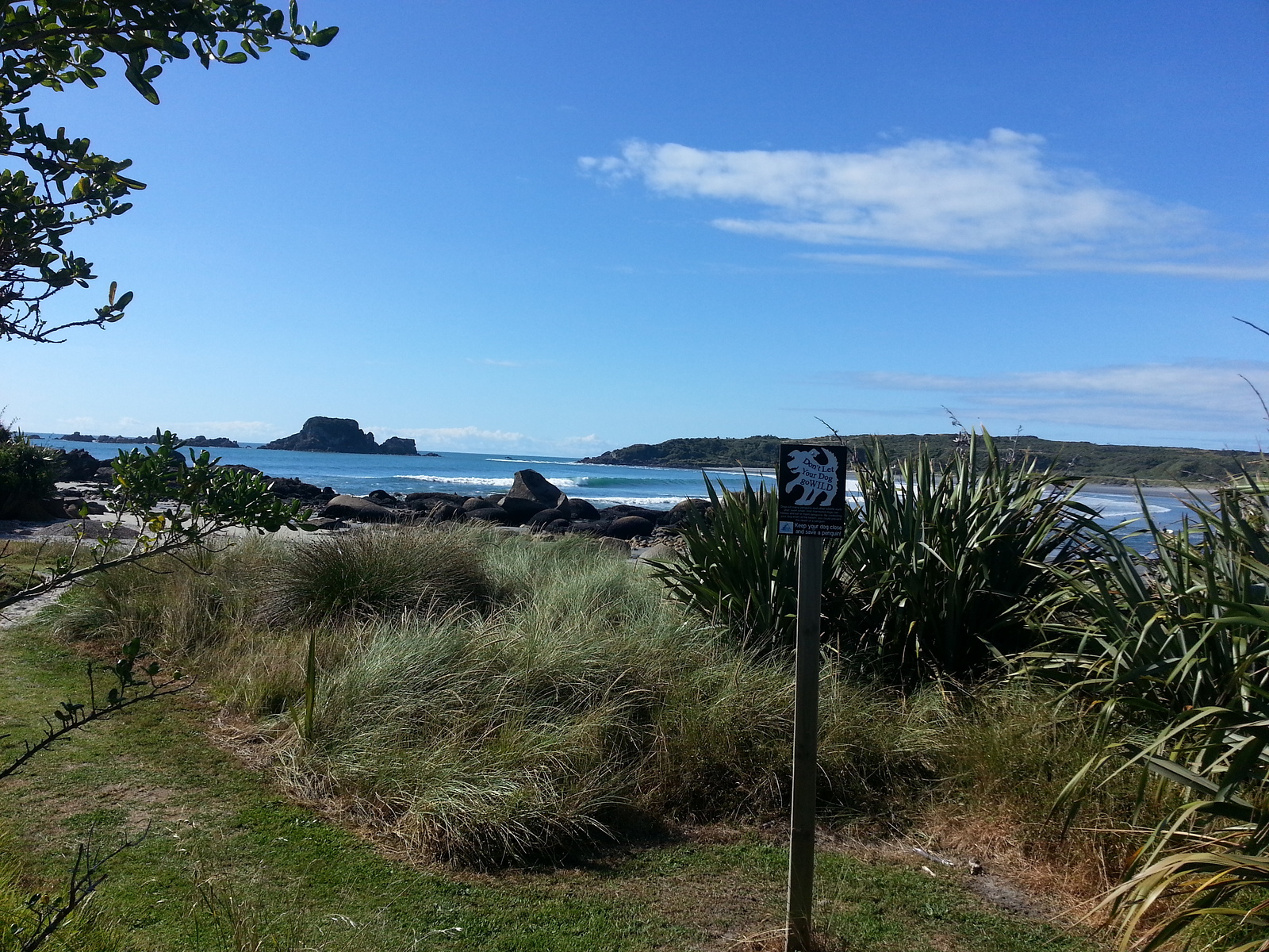 tbay middle left, Tauranga Bay