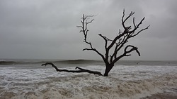 Hurricane Sandy Surf at Grandview photo