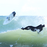 Winter at Nauset, Nauset Beach