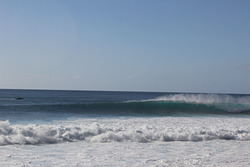 Jardim 2016-01-29, Jardim do Mar photo