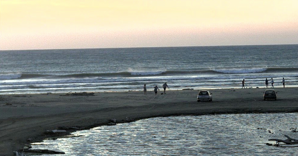 Himatangi Beach