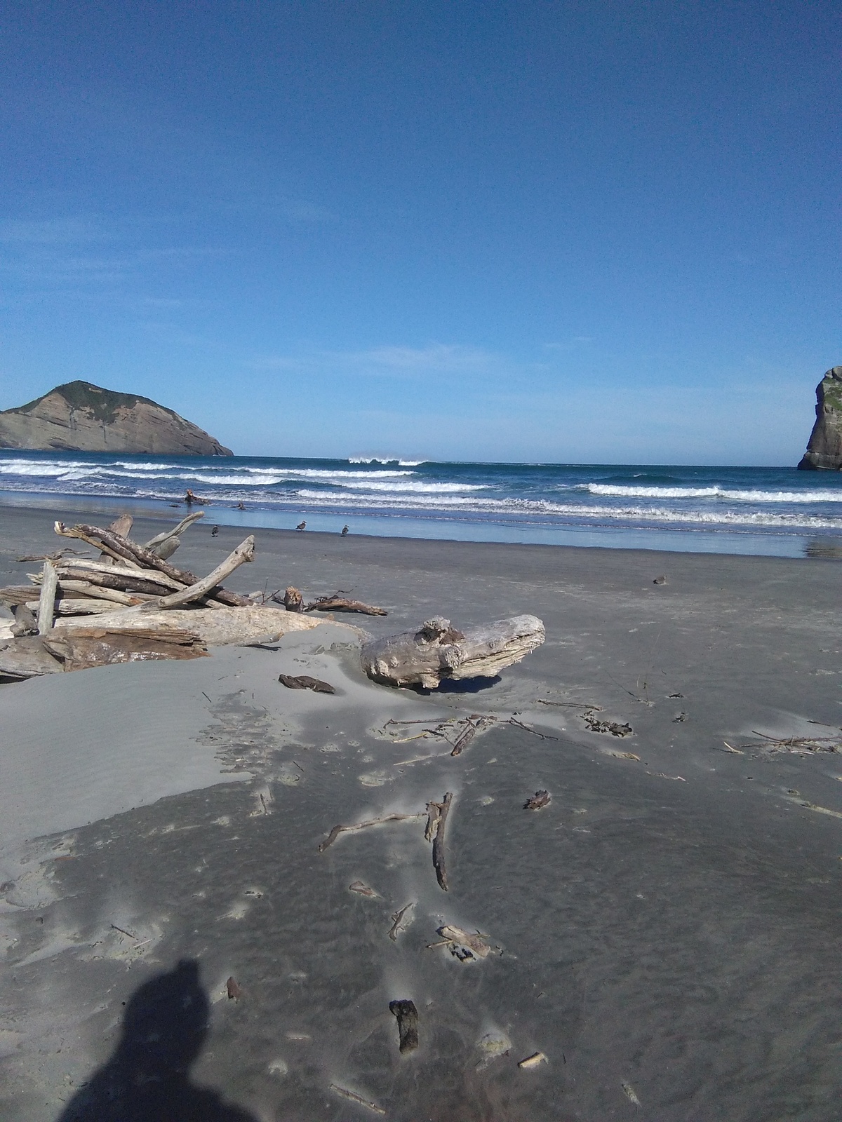 A Frame Peaks, Wharariki Beach