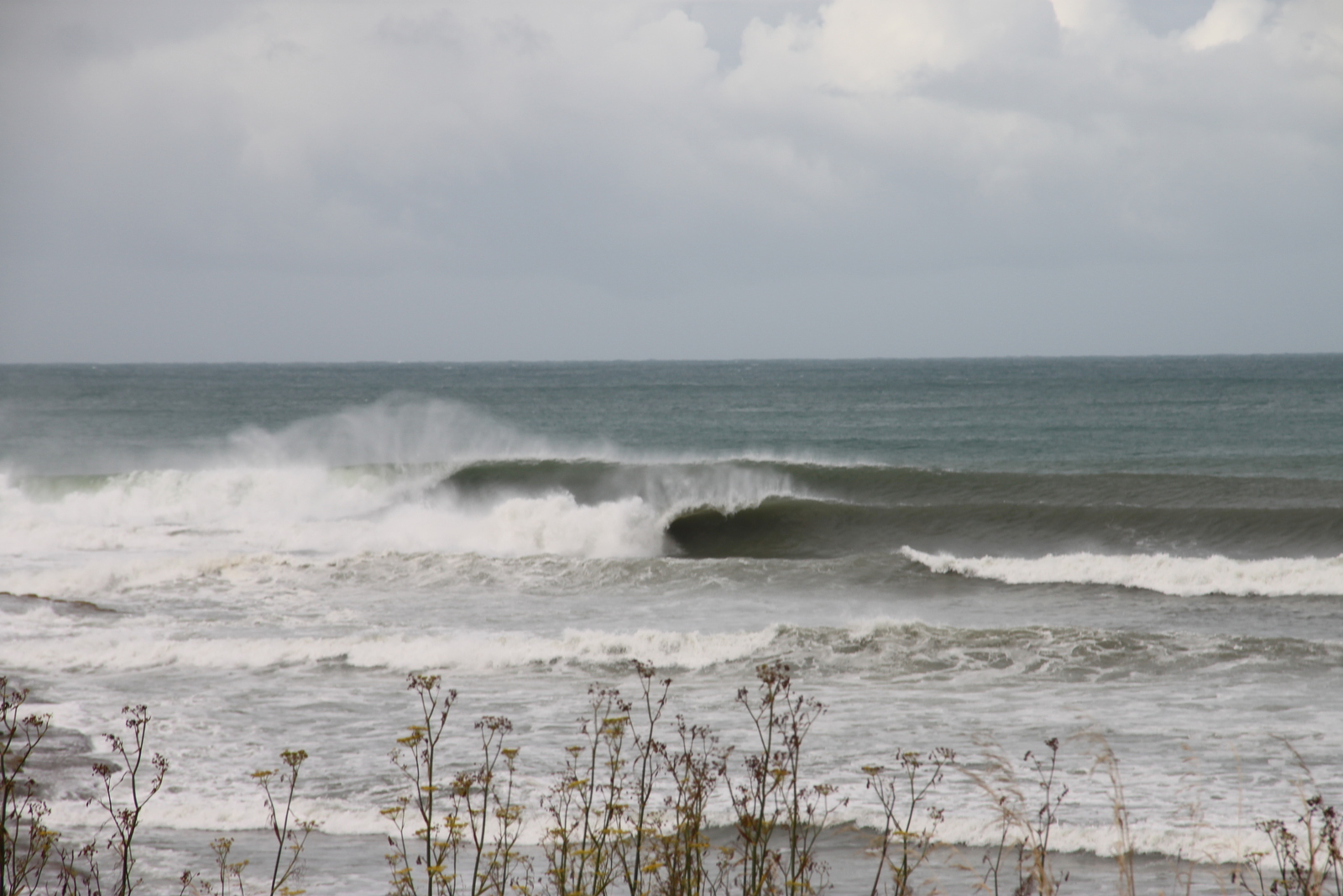 The Spit charges hard!, Mahia Spit
