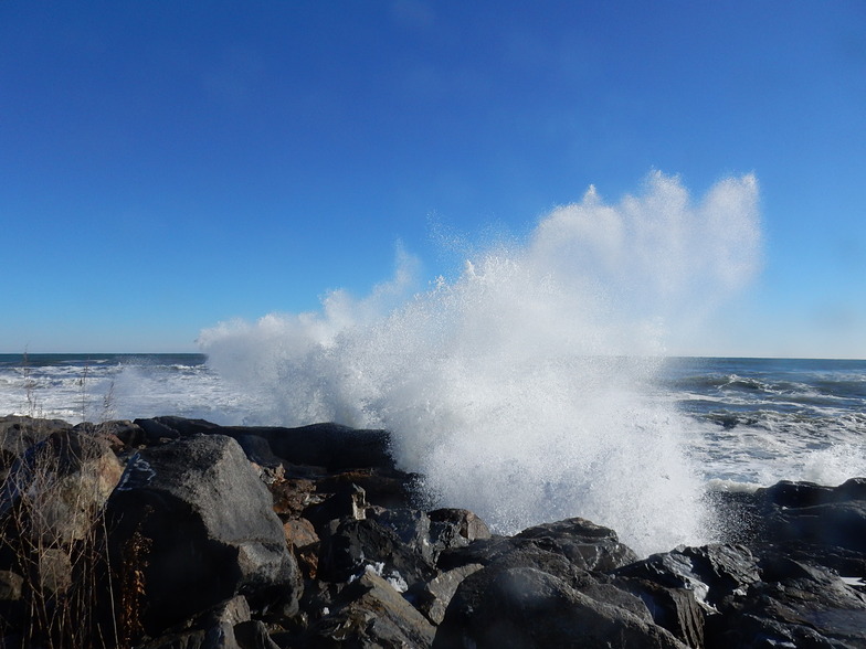 HIGH TIDE BREAKERS