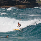 Charlotte paddle boards Bronte, Bronte Beach