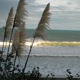 Raglan NZ, Raglan - Ngarunui Beach