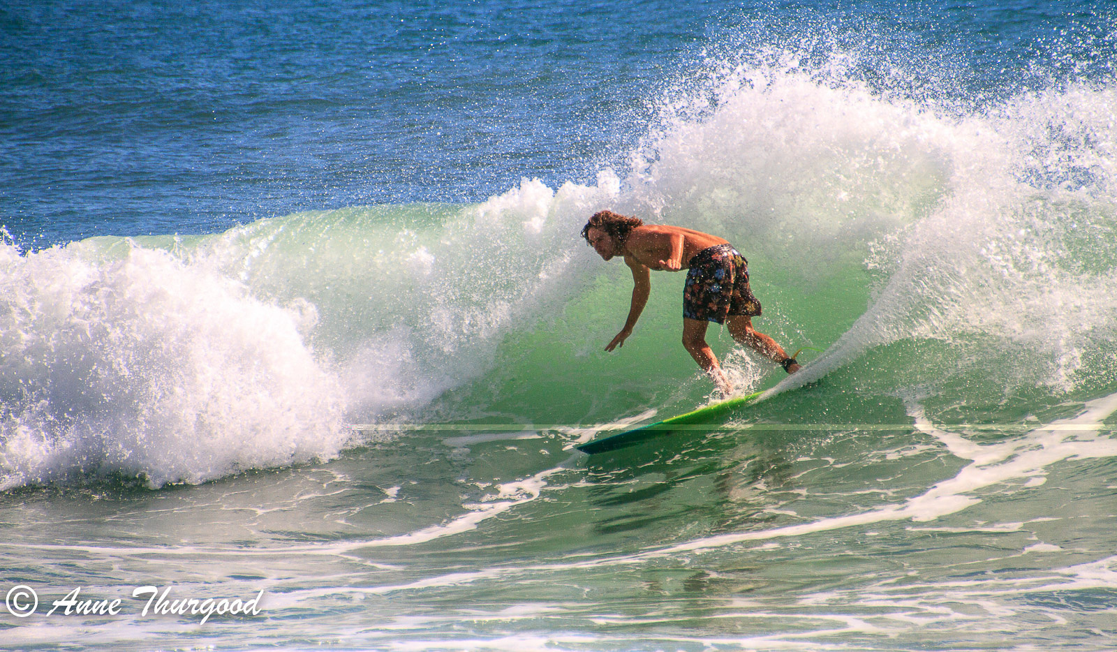 Surfer, Alexandra Headland