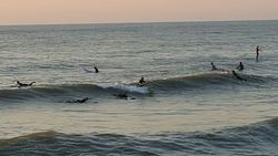 Waveski riding 2015, Wijk aan Zee Noordpier photo