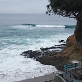 poundy pound, Laguna Beach