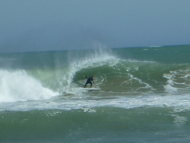 Barrell, Lyall Bay