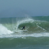 Barrell, Lyall Bay