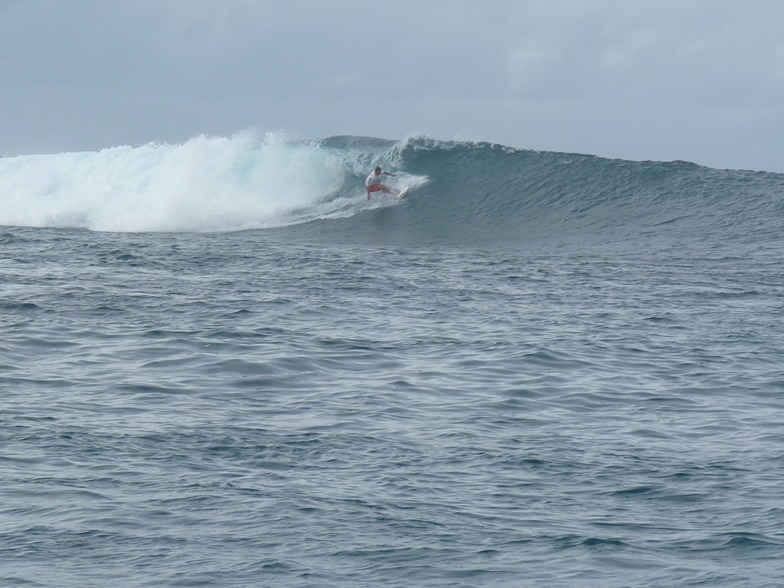 Mega Rips, Nusa