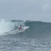 Mega Rips, Nusa