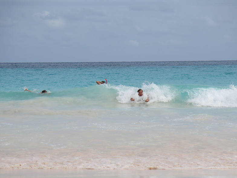 Body surf, Horseshoe Bay