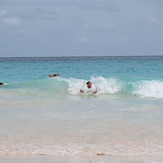 Body surf, Horseshoe Bay