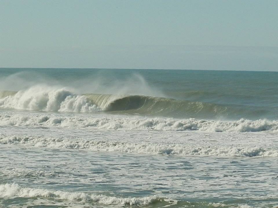 winter, Wainui Beach - Pines