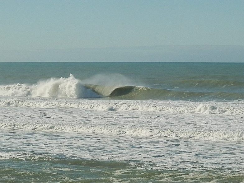 winter, Wainui Beach - Pines