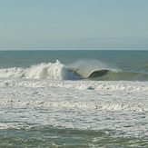 winter, Wainui Beach - Pines