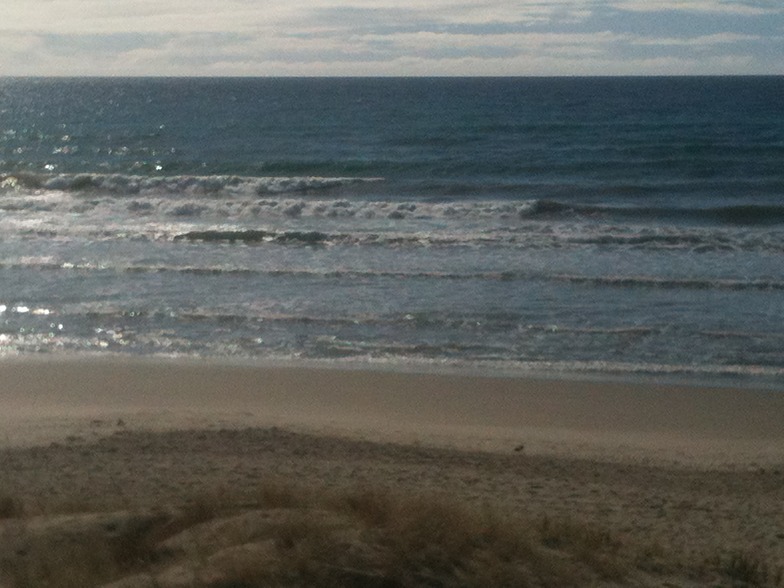 papamoa east, Papamoa Beach Park