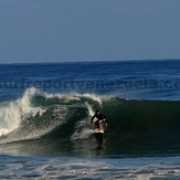 Surfer Carlucho, Point Pelua