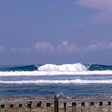 Jackals at  Casarina  Simeulue Surf Resort