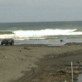 Himatangi Beach