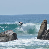 chipaehua pequena, Punta Chipehua