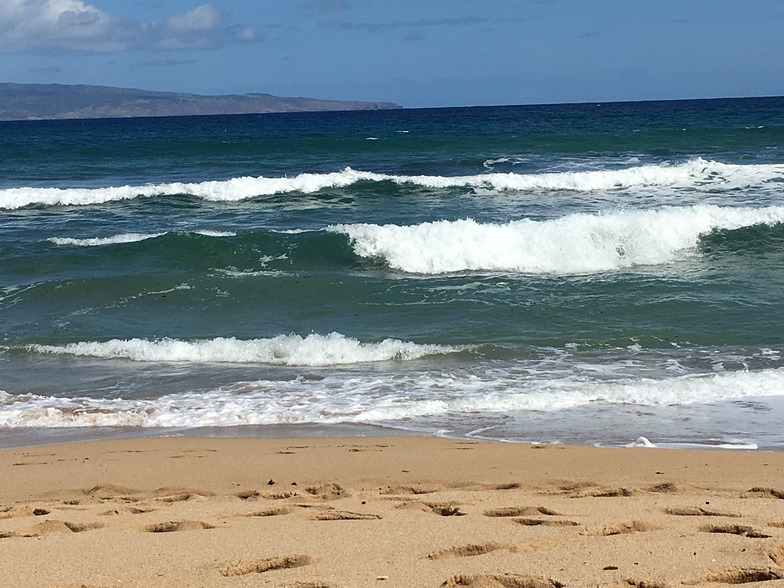 Flemming Beach Park surf break