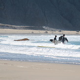 Cray bay