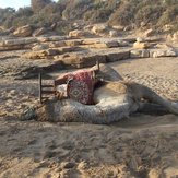 Surf Berbere Taghazout Morocco, Panoramas