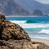 Ankle slappers at Point Mugu