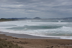 Perfect, Pataua photo