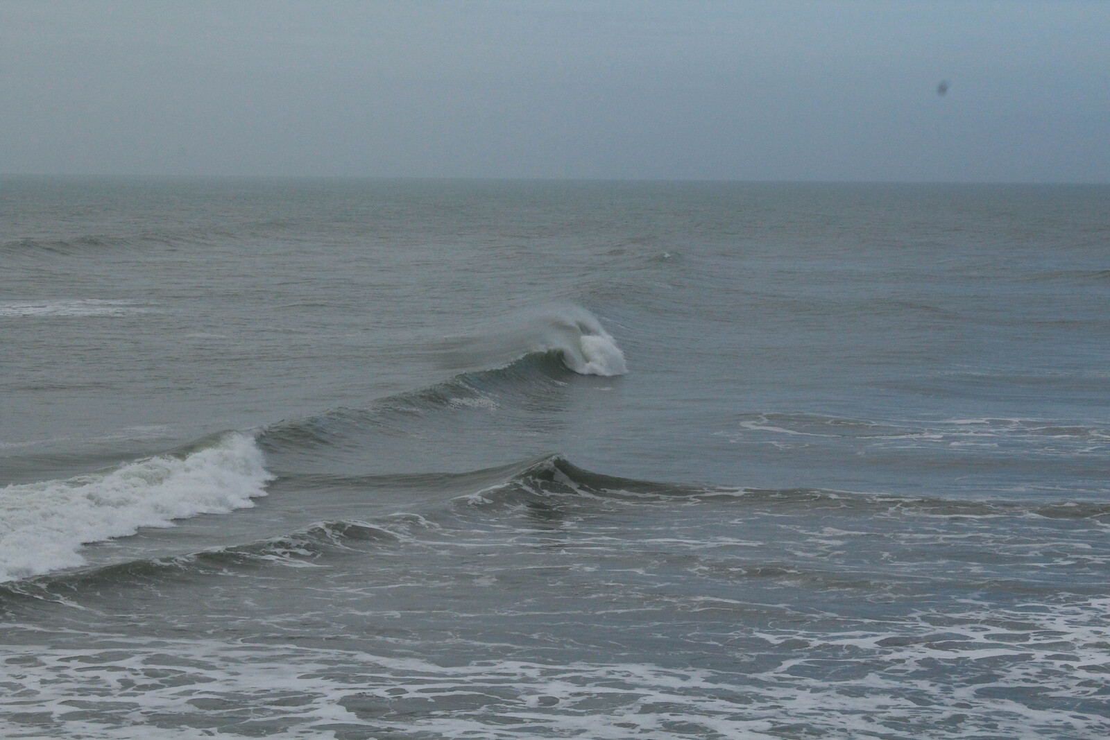 Solid Swell, Fletchers Beach