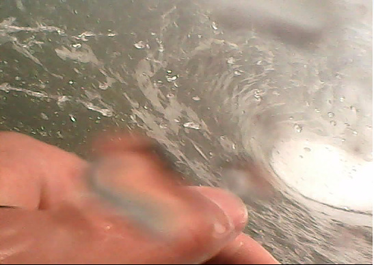 winter close outs, Lyall Bay