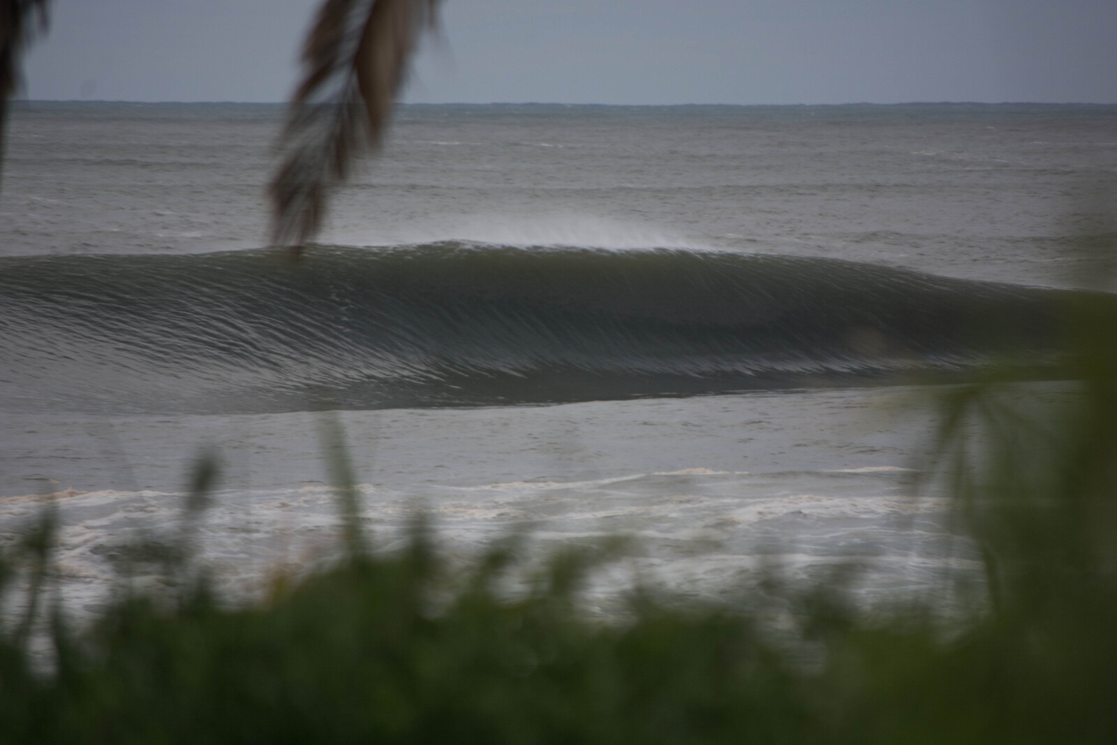 Perfection, Cronulla