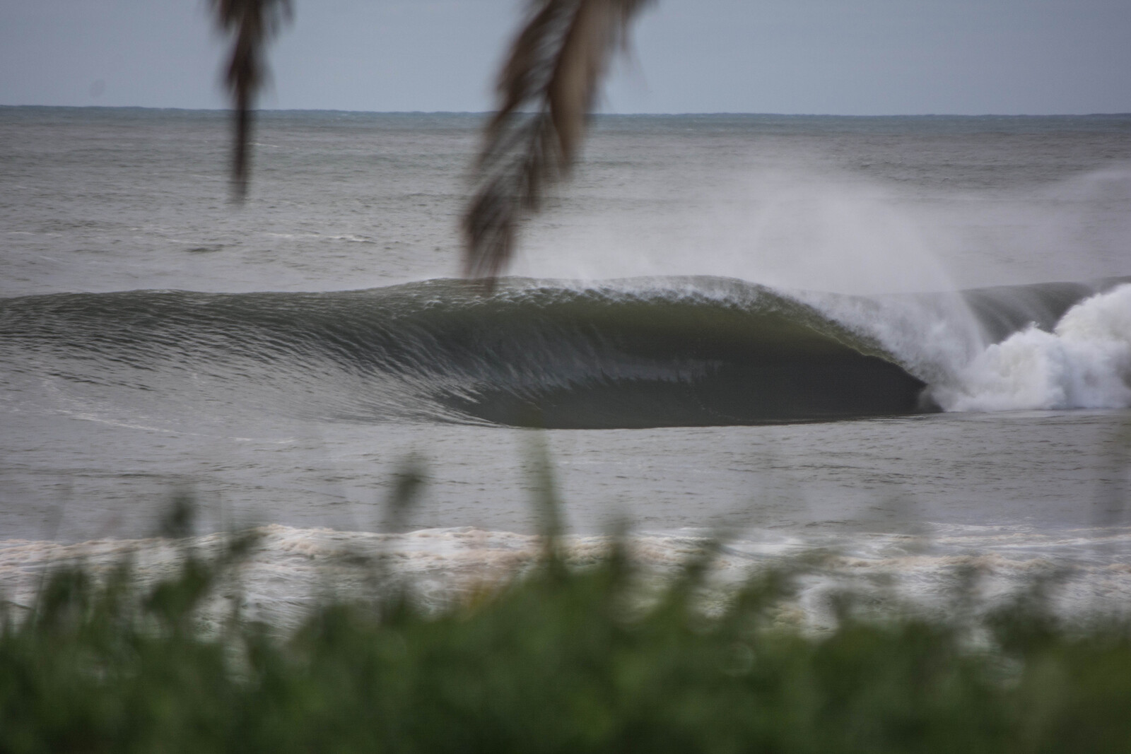 Unorthodox, Cronulla