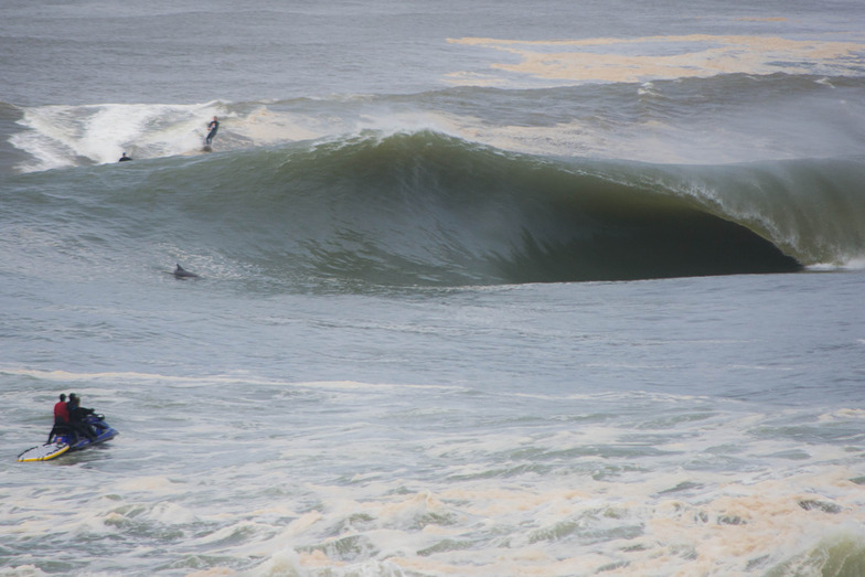 Dolphin Drop, Cronulla