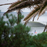 Paradise, Cronulla