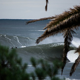 Indo Aus, Cronulla