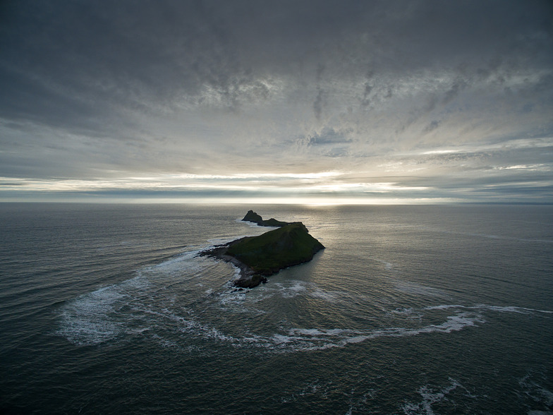 Worm's Head, Crabart