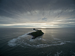 Worm's Head, Crabart photo