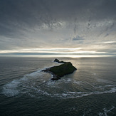 Worm's Head, Crabart