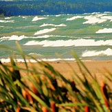 Cat Tails Sauble Beach Waves