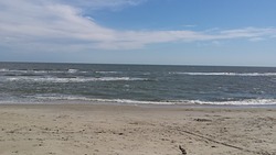 Out front, low tide photo