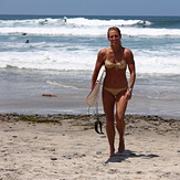 Cardiff Surfer Girl, Turtles