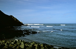 Shoulda Surfed (work Issues), Point Arena photo