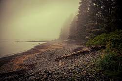 Sombrio in "Fogust", Sombrio Beach photo