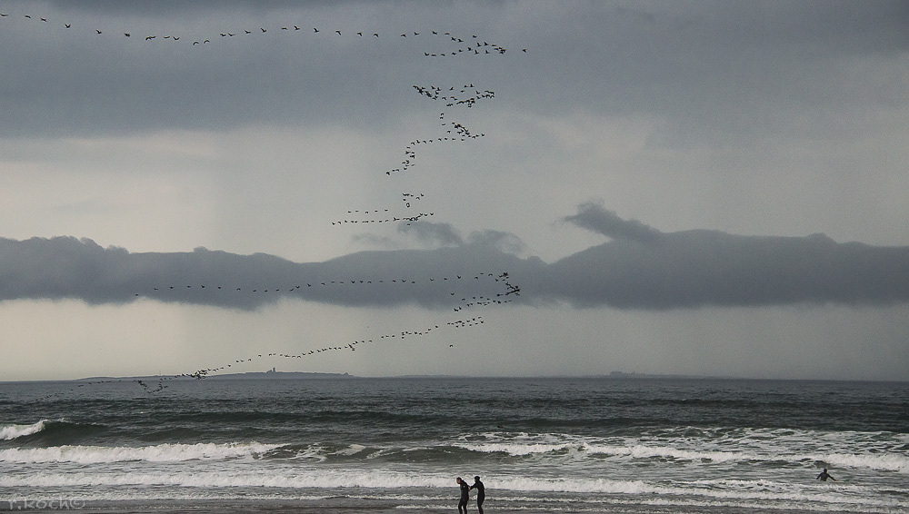 October Surf, Jenness Beach